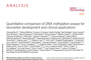 What_-is_DNA_Methylation_figure_1-1024x357